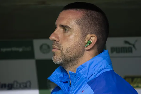 João Martins é cirúrgico em estratégia, Palmeiras vence o Grêmio e segue na liderança. Foto: Fabio Giannelli/AGIF