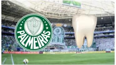 Escudo do Palmeiras