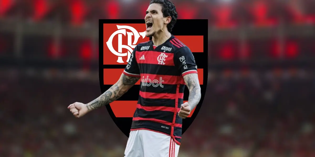 Pedro do Flamengo será pai