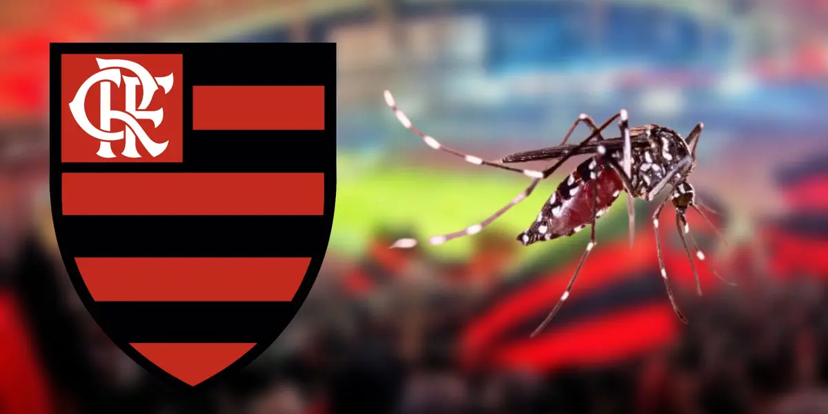 Allan do Flamengo está com dengue