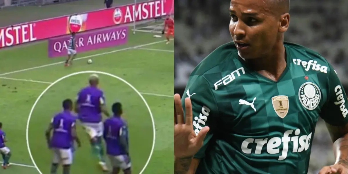 Conmebol confirmou classificação do Palmeiras em campo para a final da Copa Libertadores contra o Flamengo