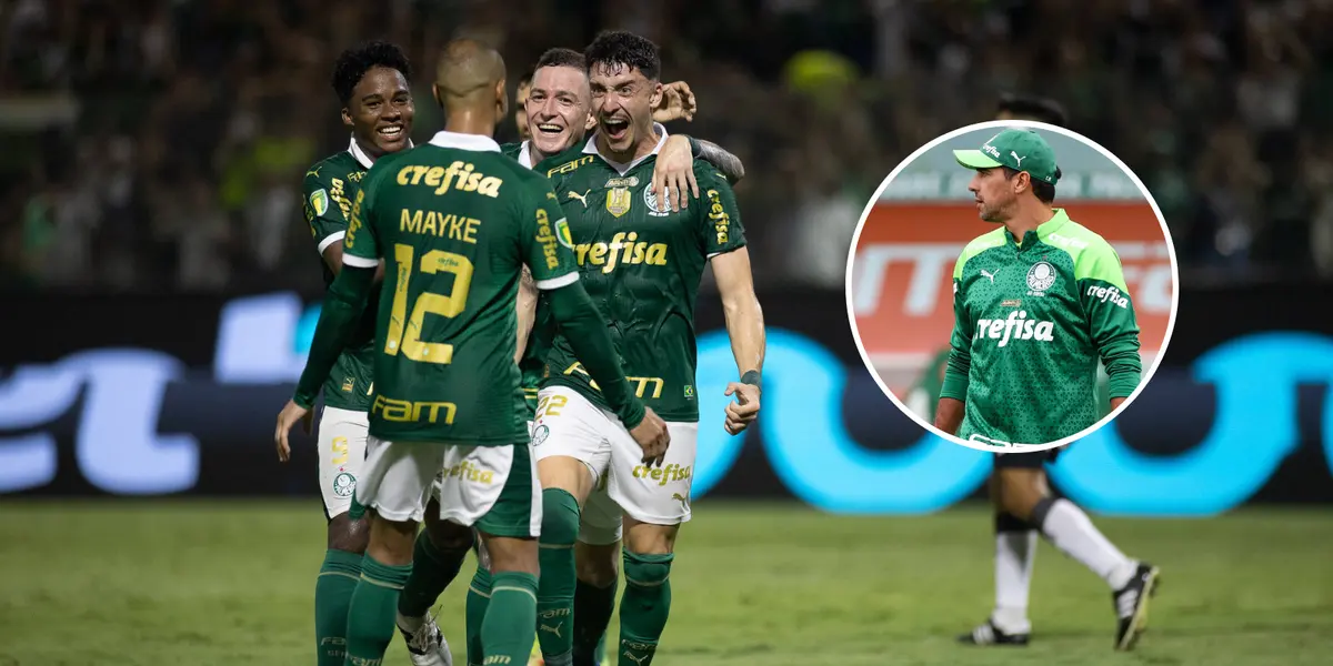 Ex-Palmeiras pode ser responsável por eliminar o Verdão