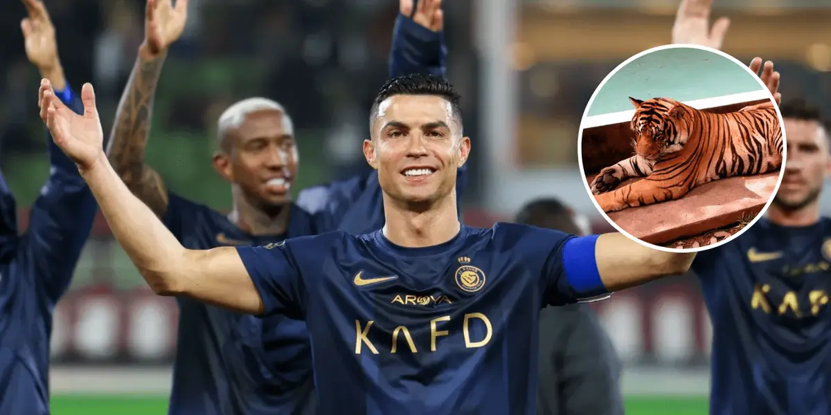 Jogador brasileiro postou foto no Instagram onde está próximo a um tigre