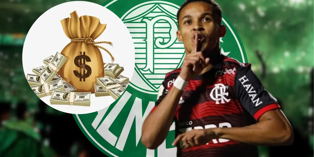 O Palmeiras acabou de fechar contrato com o novo reforço