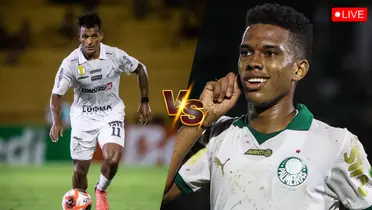 Os últimos 5 jogos do Palmeiras / @Palmeiras