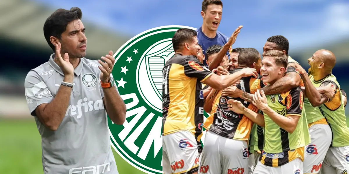 Rômulo do Novorizontino vai reforçar o Palmeiras