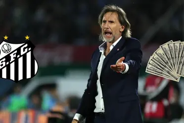 Técnico argentino foi oferecido ao Peixe após 7 anos treinando a seleção bicolor