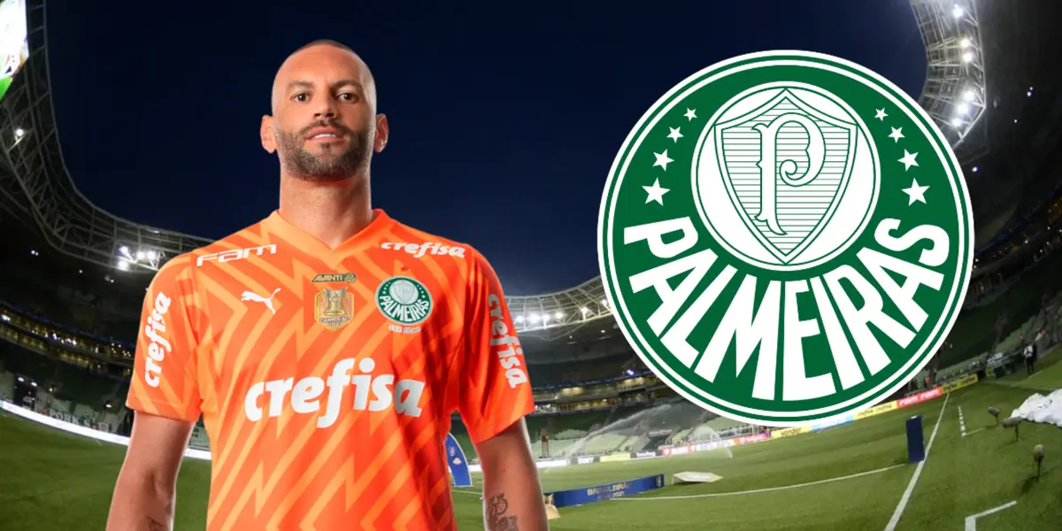 Weverton em ação pelo Palmeiras